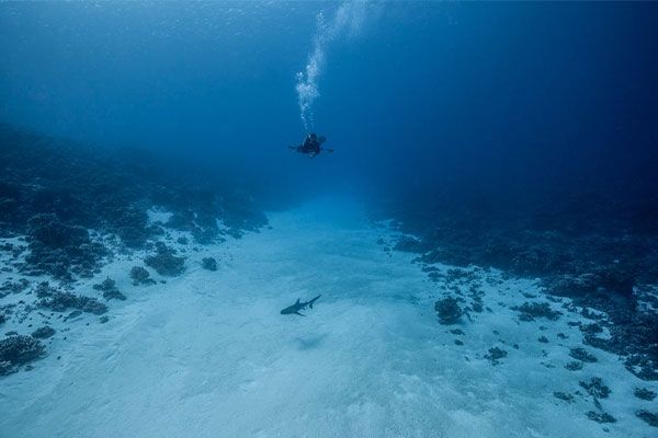 South channel of Fakarava